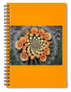 \"https:\/\/pixels.com\/featured\/cactus-mandala-nancy-ayanna-wyatt.html?product=spiral-notebook\"